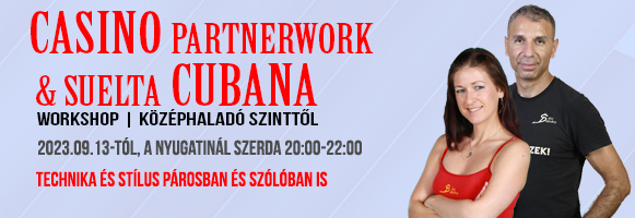 2023 salsa partner work
